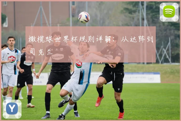 橄榄球世界杯规则详解:从达阵到司克兰
